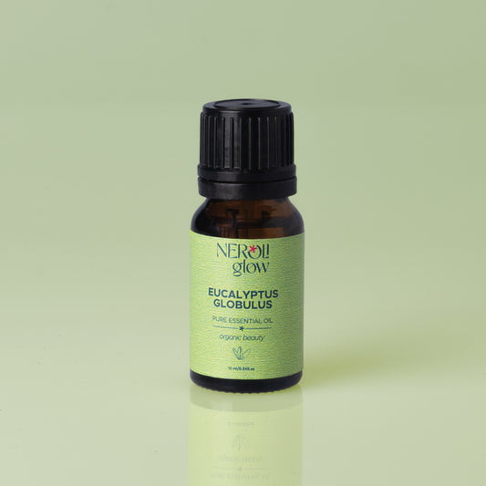 Eucalyptus Globulus Essential Oil